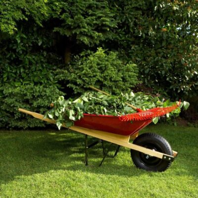 A red wheelbarrow filled with greenery in a garden.