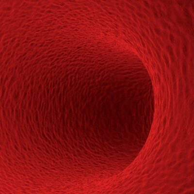 A close up of a red blood cell.