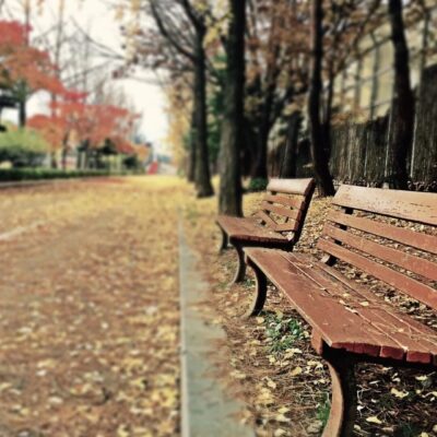 Empty park benches along a leaf-covered path in autumn.