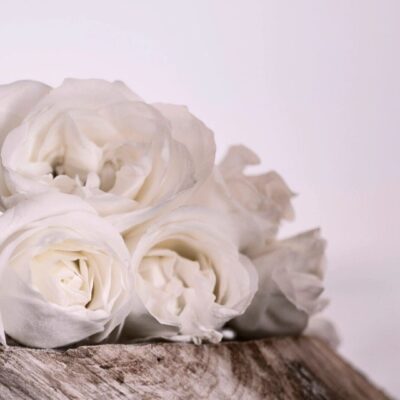 White roses on a piece of wood.
