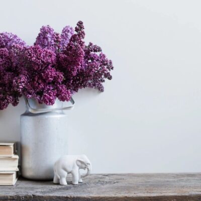Lilacs in milk can, books, elephant.
