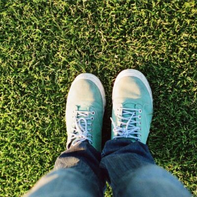 lawn