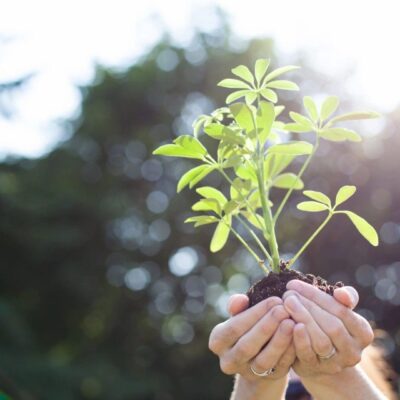 A woman is holding a small plant in her hands.