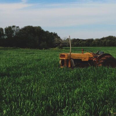 Old tractor in lush green field.