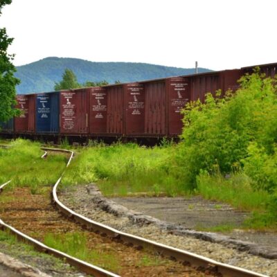 Freight train cars on overgrown railway tracks.