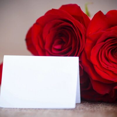 Red roses with a blank card next to them.