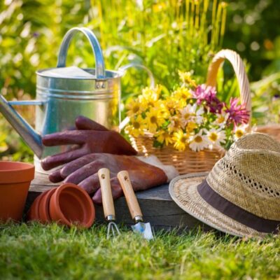 Hat, gloves, watering can and gardening tools on the grass.