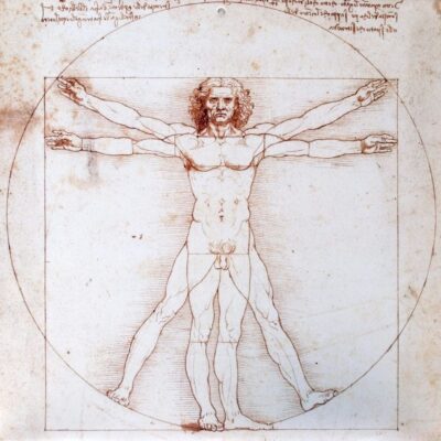 Leonardo da Vinci's Vitruvian Man illustrating human proportions.